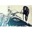 Μπαντάνα αναβάτη FLYDANNA VENT REFL FLAMES Μπαντάνα αναβάτη FLYDANNA VENT REFL FLAMES thumb