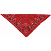 Μπαντάνα αναβάτη COTTON RED PAISLY