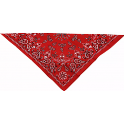 Μπαντάνα αναβάτη COTTON RED PAISLY