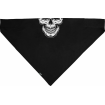 Μπαντάνα αναβάτη SPORTFLEX BKWT SKULL Μπαντάνα αναβάτη SPORTFLEX BKWT SKULL thumb