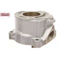 Κύλινδρος STD BORE 50005