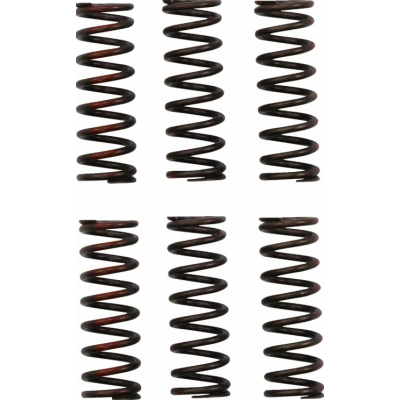 Ελατήριο συμπλέκτη PROCIRCUIT CLUTCH SPRING CRF450R 21-24
