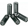 Ελατήρια συμπλέκτη PROCIRCUIT CLUCH SPRINGS KAWASAKI