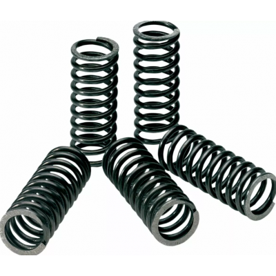 Ελατήρια συμπλέκτη PROCIRCUIT CLUCH SPRINGS KXF/RMZ250