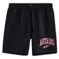 Παντελόνι μηχανής ALPINESTARS DUNKER BLACK thumb