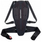 Προστασία πλάτης ALPINESTARS Nucleon Plasma BK/WT/RD thumb