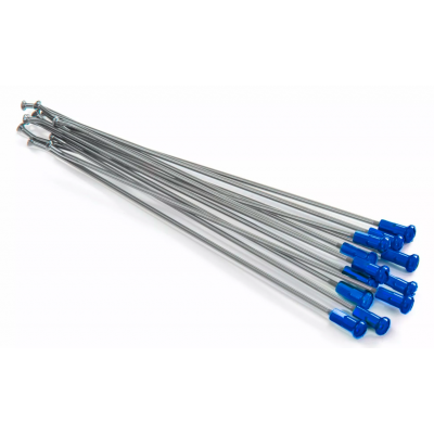 Ακτίνες τροχού μοτοσυκλέτας KITE SPOKES 21'FR SI /BL NIP 12PC Silver/Blue
