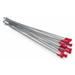 Ακτίνες τροχού μοτοσυκλέτας KITE SPOKES 21FR SI /RE NIP 12PC Silver/Red