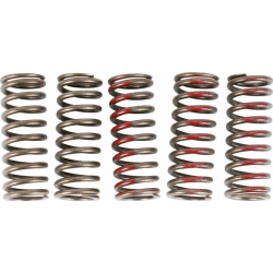 Ελατήρια συμπλέκτη PROCIRCUIT SPRINGS CLUTCH CRF250R