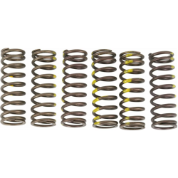 Ελατήρια συμπλέκτη PROCIRCUIT SPRINGS CLUCH RMZ450