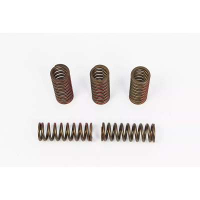 Ελατήρια συμπλέκτη PROCIRCUIT SPRNGS CLTCH CRF250R/X'20