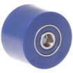 Ραούλο αλυσίδας RFX Race - 32mm - Universal (Blue) CAMINO thumb