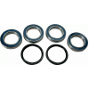 Κιτ ρουλεμάν τροχού MOOSE RACING BEARING KIT Wheel Suzuki LT-R 450 06-11