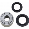 Ρουλεμάν πίσω τροχού MOOSE RACING BEARING REAR WHEEL Yamaha YXZ