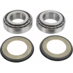 Ρουλεμάν τιμονιού μοτοσυκλέτας MOOSE RACING BEARING STEERING STEM GASGAS Ρουλεμάν τιμονιού μοτοσυκλέτας MOOSE RACING BEARING STEERING STEM GASGAS thumb