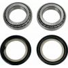 Ρουλεμάν τιμονιού μοτοσυκλέτας MOOSE RACING BEARING STEERING STEM HONDA CRF