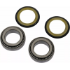 Ρουλεμάν τιμονιού μοτοσυκλέτας MOOSE RACING BEARING STEERING STEM HONDA CRF 250R 2018