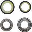 Ρουλεμάν τιμονιού μοτοσυκλέτας MOOSE RACING BEARING STEERING STEM KAWASAKI KLX 110 Ρουλεμάν τιμονιού μοτοσυκλέτας MOOSE RACING BEARING STEERING STEM KAWASAKI KLX 110 thumb