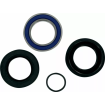 Ρουλεμάν πίσω τροχού MOOSE RACING BEARING WHEEL KIT REAR HONDA TRX Ρουλεμάν πίσω τροχού MOOSE RACING BEARING WHEEL KIT REAR HONDA TRX thumb
