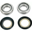 Ρουλεμάν τιμονιού μοτοσυκλέτας MOOSE RACING BEARING STEERING STEM-GASGAS thumb