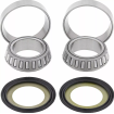 Ρουλεμάν τιμονιού μοτοσυκλέτας MOOSE RACING BEARING STEERING STEM-HONDA CR/CRF thumb