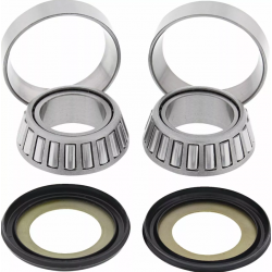 Ρουλεμάν τιμονιού μοτοσυκλέτας MOOSE RACING BEARING STERNG STM- KAWASAKI/SUZUKI KLX/DR-Z 125 Ρουλεμάν τιμονιού μοτοσυκλέτας MOOSE RACING BEARING STERNG STM- KAWASAKI/SUZUKI KLX/DR-Z 125
