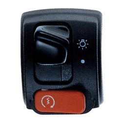 Διακόπτης φώτον μοτοσυκλέτας 2B DOMINO