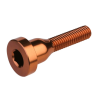 Βίδα για καπάκι λαιμού τιμονιού BURGTEC Top Cap Bolt ­Kash Bronze