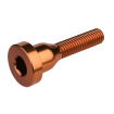 Βίδα για καπάκι λαιμού τιμονιού BURGTEC Top Cap Bolt ­Kash Bronze thumb