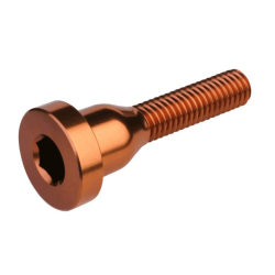 Βίδα για καπάκι λαιμού τιμονιού BURGTEC Top Cap Bolt ­Kash Bronze