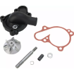 Προστατευτικό κάλυμμα αντλίας νερού BOYESEN COVER/IMP WATPMP YZ125 Black Προστατευτικό κάλυμμα αντλίας νερού BOYESEN COVER/IMP WATPMP YZ125 Black thumb