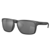 Γυαλιά OAKLEY Holbrook XL Steel w/ Prizm Black Polar