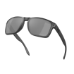 Γυαλιά OAKLEY Holbrook XL Steel w/ Prizm Black Polar thumb
