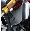Προστασία ψυγείου μοτοσυκλέτας R&G Racing Aluminium Radiator guard Titanium - Ducati monster 1200 14-20 thumb