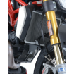 Προστασία ψυγείου μοτοσυκλέτας R&G Racing Aluminium Radiator guard Titanium - Ducati monster 1200 14-20 thumb