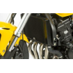 Προστασία ψυγείου μοτοσυκλέτας R&G RACING Pro Radiator Guard - Honda CB600F/S Hornet 11-13 Προστασία ψυγείου μοτοσυκλέτας R&G RACING Pro Radiator Guard - Honda CB600F/S Hornet 11-13 thumb