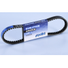 Ιμάντας χρονισμού V-σχήματος POLINI  810 x 19,5 mm Polini K-BELT