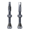 Βαλβίδα ελατικών ποδηλάτου Peaty's Holeshot Fast Flow Tubeless Valves - 42mm / Slate