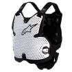 Προστασία θώρακα ALPINESTARS BIO ACTION V2 CHEST PRO WT/BK Προστασία θώρακα ALPINESTARS BIO ACTION V2 CHEST PRO WT/BK thumb