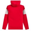 Φούτερ ALPINESTARS PO CUBIC RED/CEMENT thumb