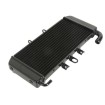 Ψυγείο για Yamaha FAZER 600 1998-2003 thumb
