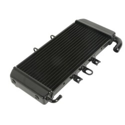 Ψυγείο για Yamaha FAZER 600 1998-2003