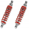 Αμορτισέρ μοτοσυκλέτας πίσω BITUBO RR SHOCKS VESPA