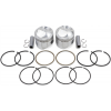 Σετ πιστόνια μοτοσυκλέτας WISECO PISTON KIT .010 48-80 BT FLB 1200