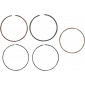 Ασφάλεια πείρου πιστονιού WISECO RING SET EC 300 F 14 thumb