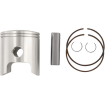 Πιστόνι μοτοσυκλέτας WISECO PISTON A.C. STD. ARCTIC CAT Πιστόνι μοτοσυκλέτας WISECO PISTON A.C. STD. ARCTIC CAT thumb