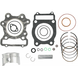 Πιστόνι μοτοσυκλέτας WISECO για TRX 300 Πιστόνι μοτοσυκλέτας WISECO για TRX 300