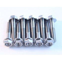 Μπουλόνια μηχανής SCAR M8X35мм - 2 τεμάχια Μπουλόνια μηχανής SCAR M8X35мм - 2 τεμάχια