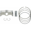 Πιστόνι μοτοσυκλέτας WISECO PISTON KIT KX450F