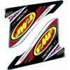 Αυτοκόλλητο μηχανής FMF FCTRY 4.1 USA DECAL REPL